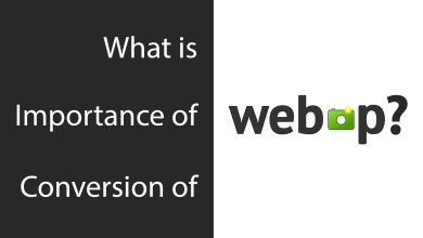 what is webp