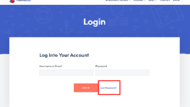 How to Access Your Account
