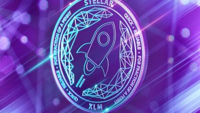 Understanding a Fast and cheap Digital Currency Stellar Lumens XLM
