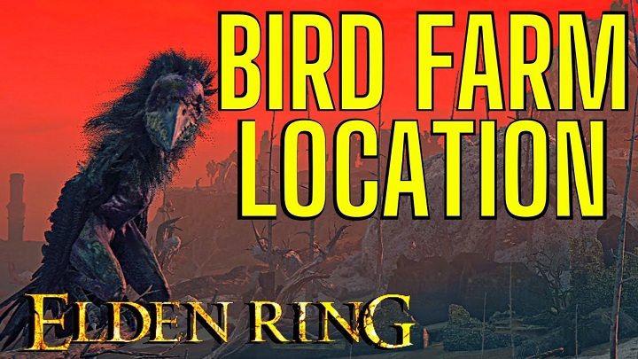 Elden Ring Bird Farm