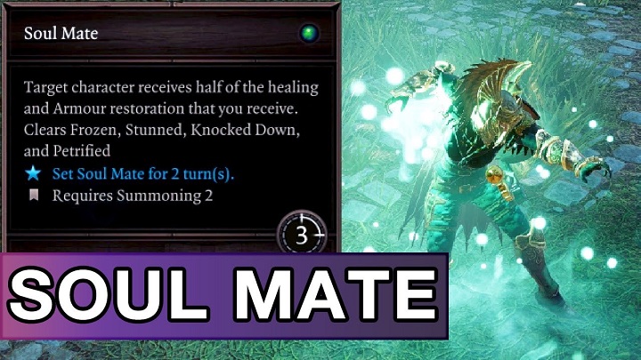 What is Divinity 2 Soul Mate