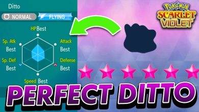 how to get a ditto with perfect ivs